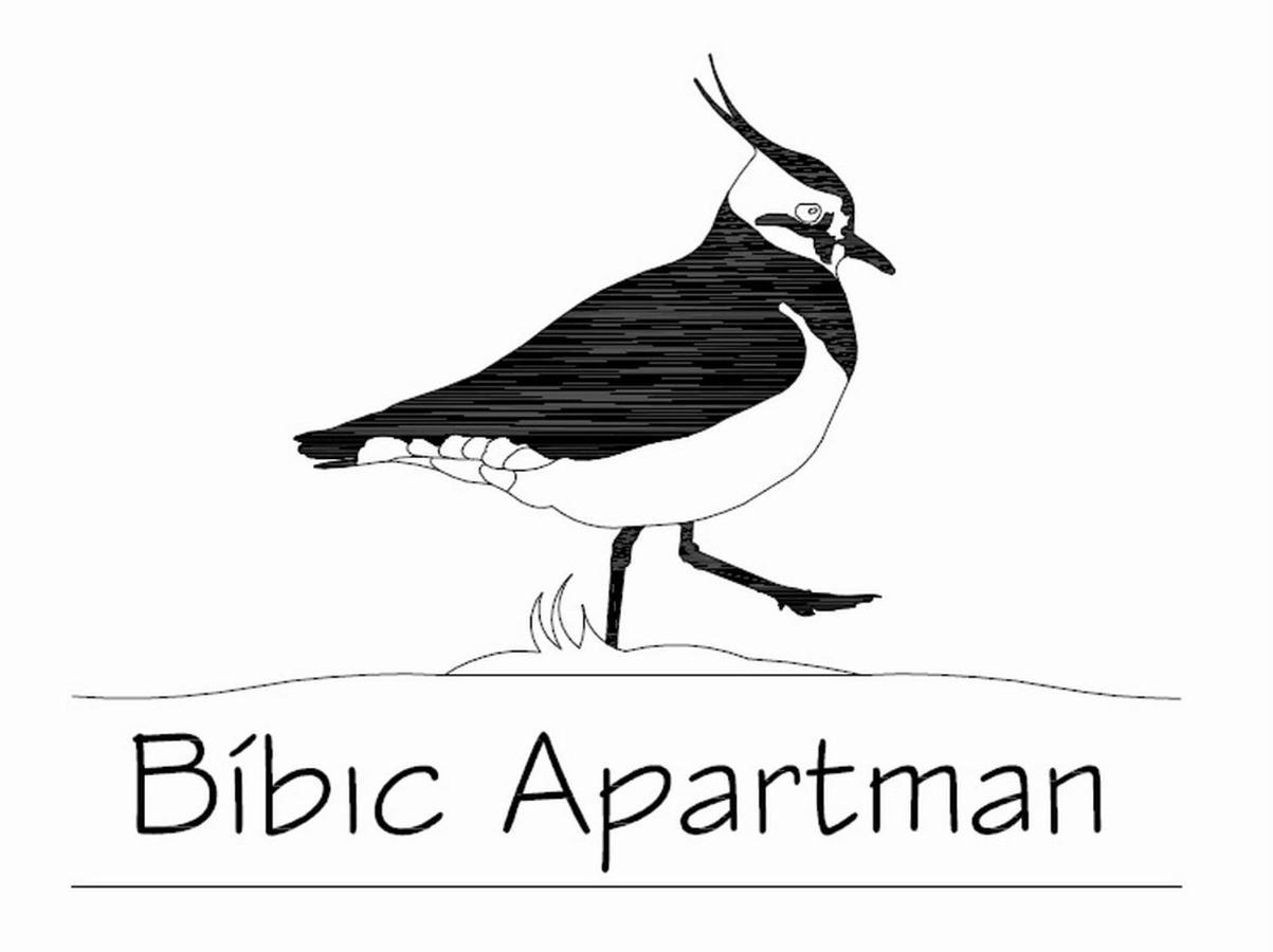 Bibic Apartman A Kapolnasnyek Екстериор снимка