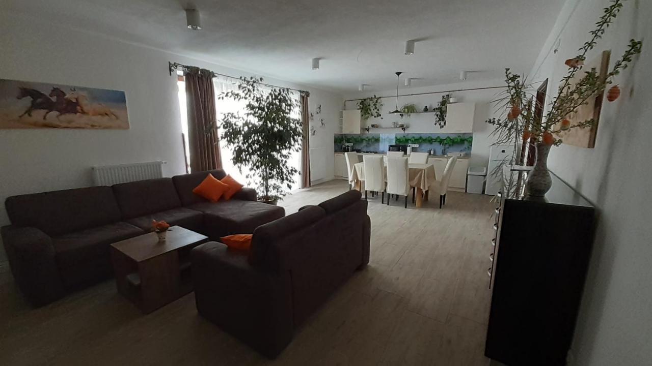 Bibic Apartman A Kapolnasnyek Екстериор снимка